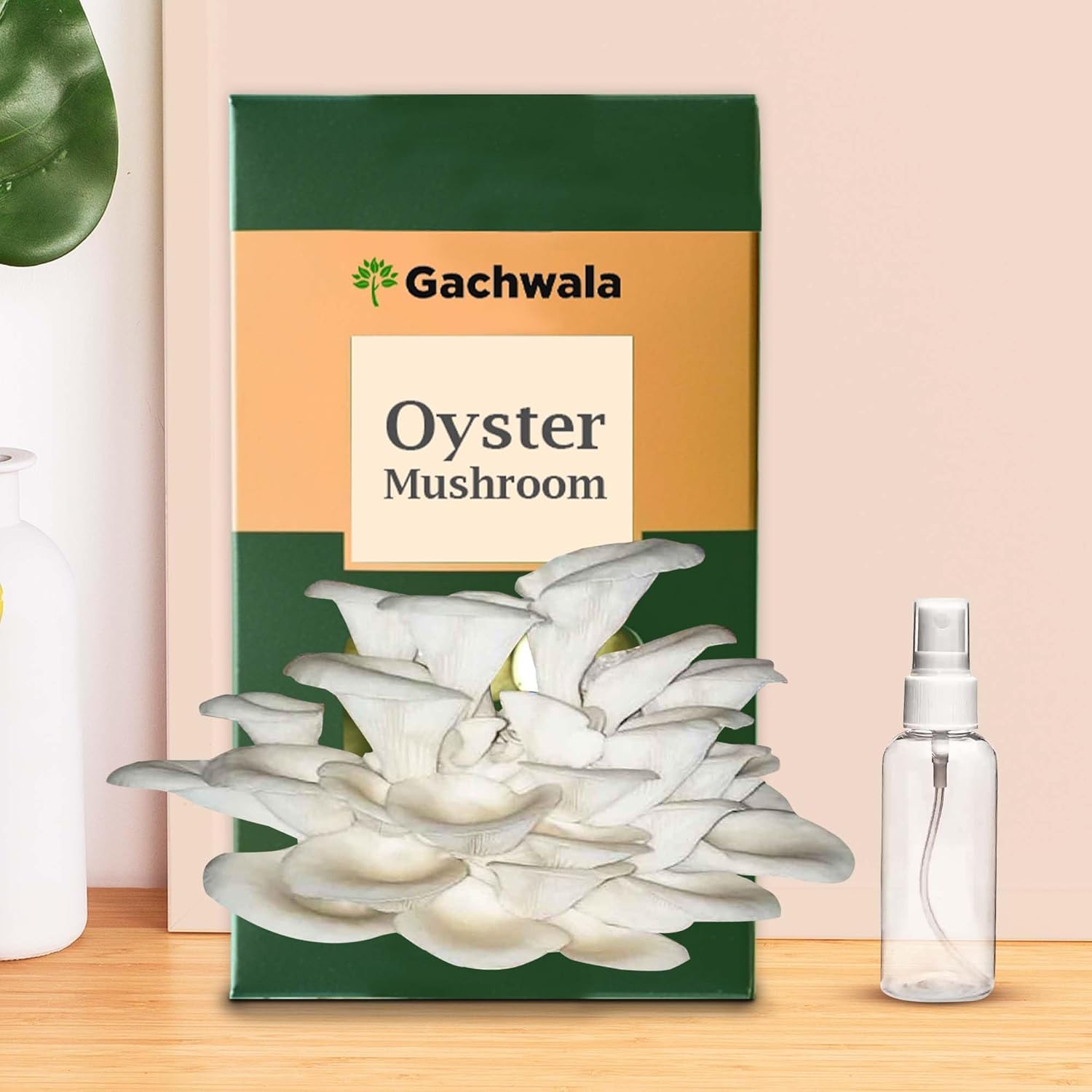 Ready-to-Harvest Mushroom Growing Kit 1.8kg | Easy Indoor Mushroom Cultivation at Home | Nutrient-Rich Substrate Included with Free Spray Bottle | Perfect for Cooking & Gardening