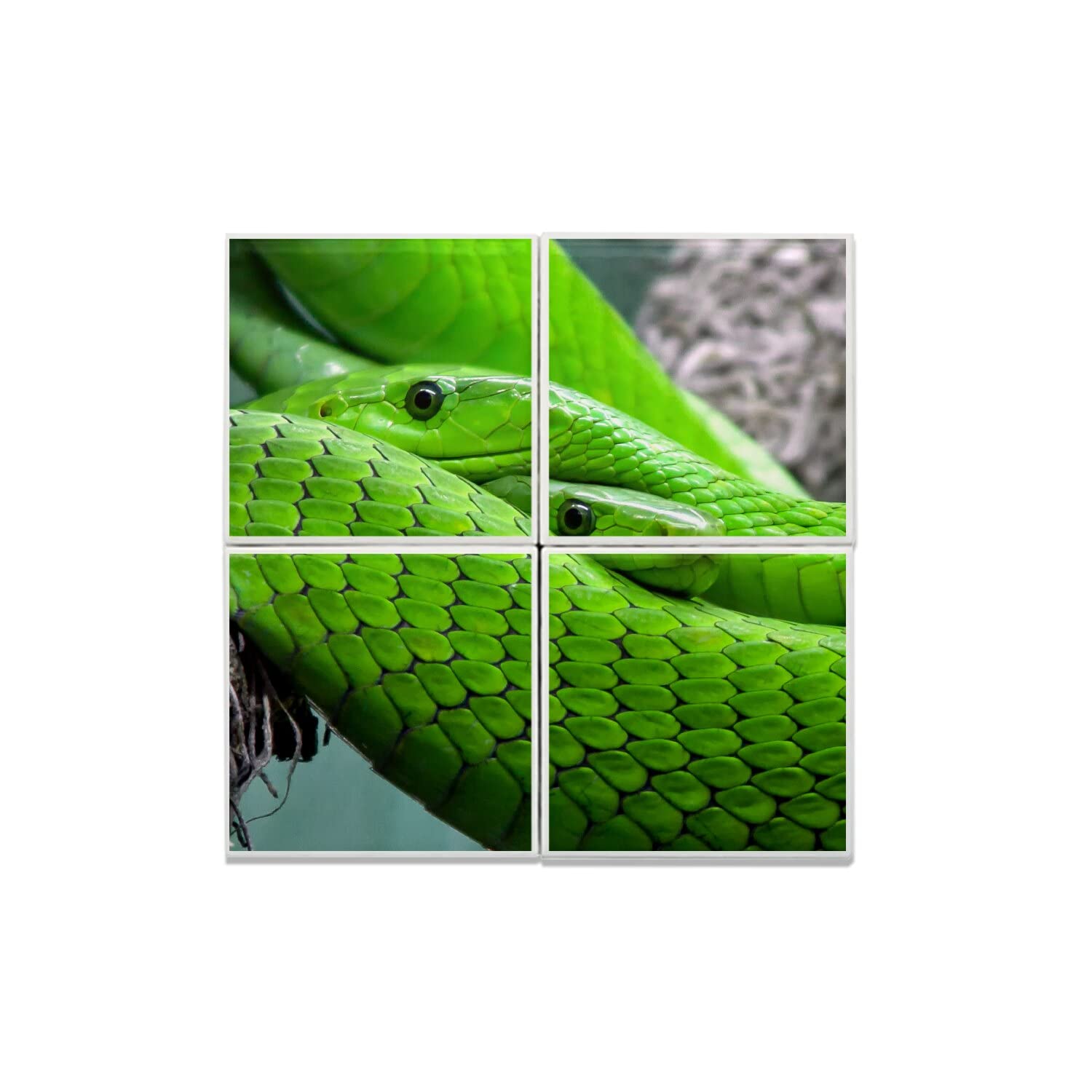 Carreaux céramique python vert lot de 4 décoration murale nature 40x40 cm - 4
