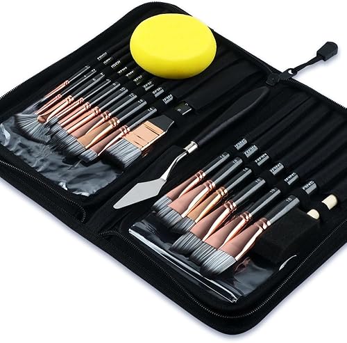 Transon Kit de 16 pinceles de pintura artística con cepillo de espuma, espátula de esponja y estuche de arte para óleo, acrílico, acuarela, gouache,