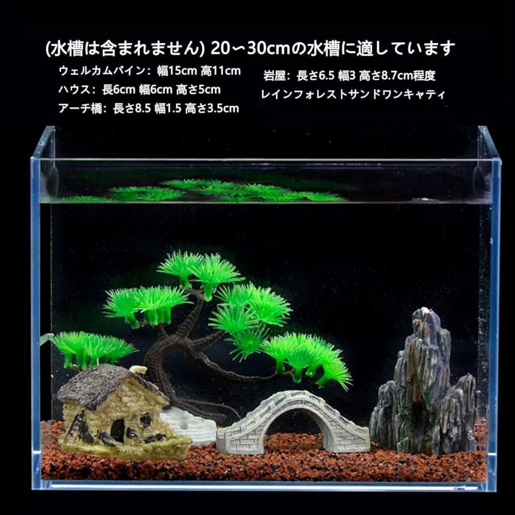 Amazon | 水草 水槽 オブジェ アクアリウム用水草と岩セット