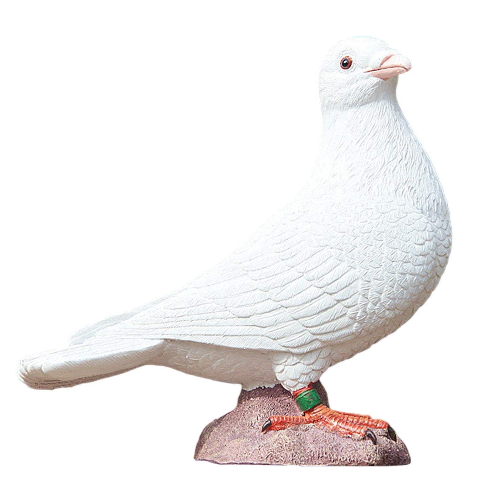 Amazon.co.jp: RNXRZANK 人工羽の鳩の鳥の庭の置物の装飾の鳥＃4白い空