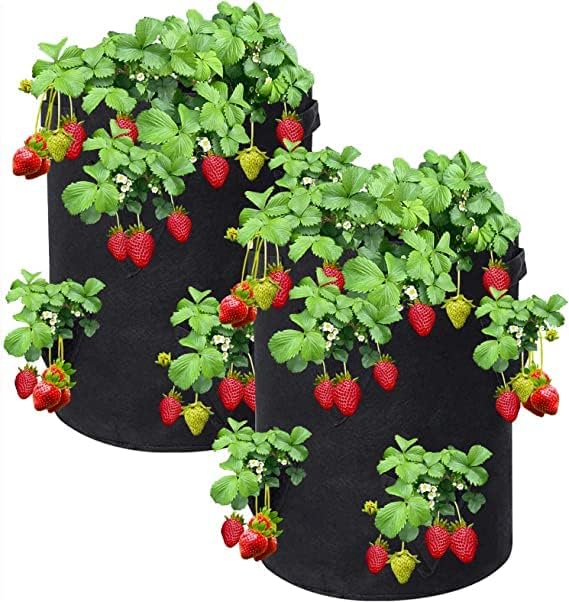 10 Gallon Strawberry Grow Bags 2 Piece Patio, Lawn & Garden