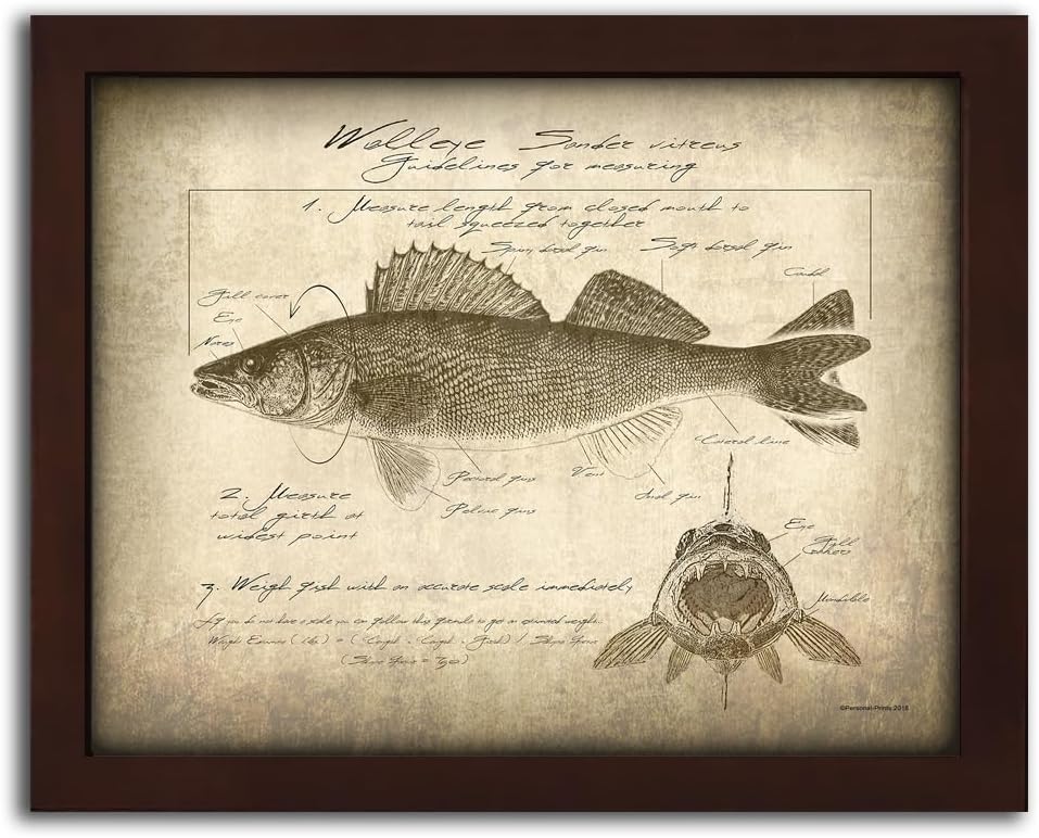 Personal-Prints | Vintage Style Walleye | North American Big Game and Fish Identification and Scoring Prints