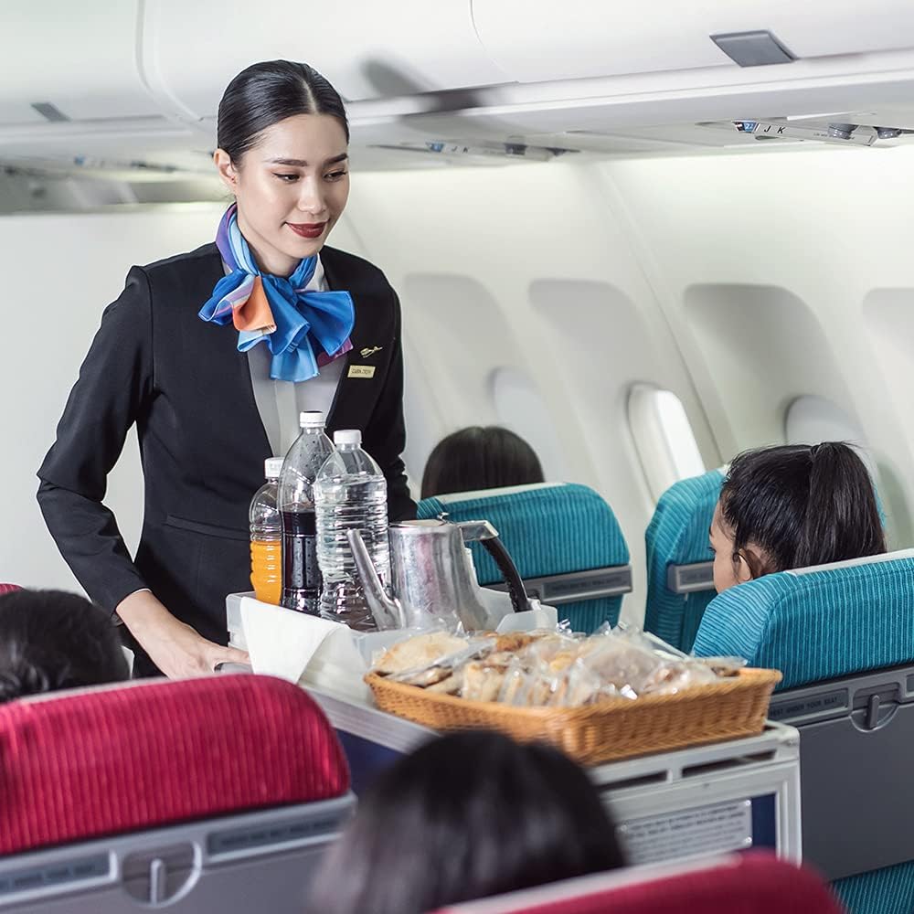 Pluggerz Earplugs Travel, Orange BigaMart