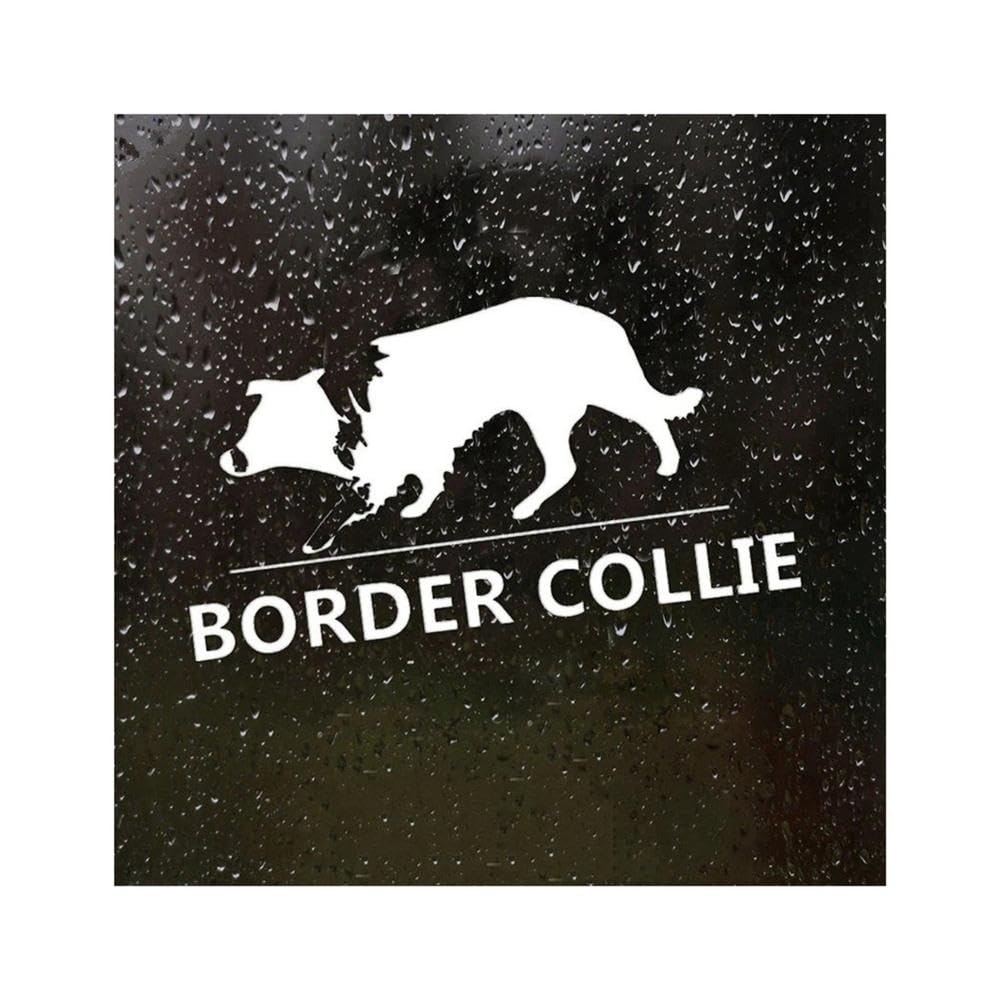 Decal Border Collie Car Sticker Waterproof Auto Decors On Car Body Bumper Rear Window(White)
