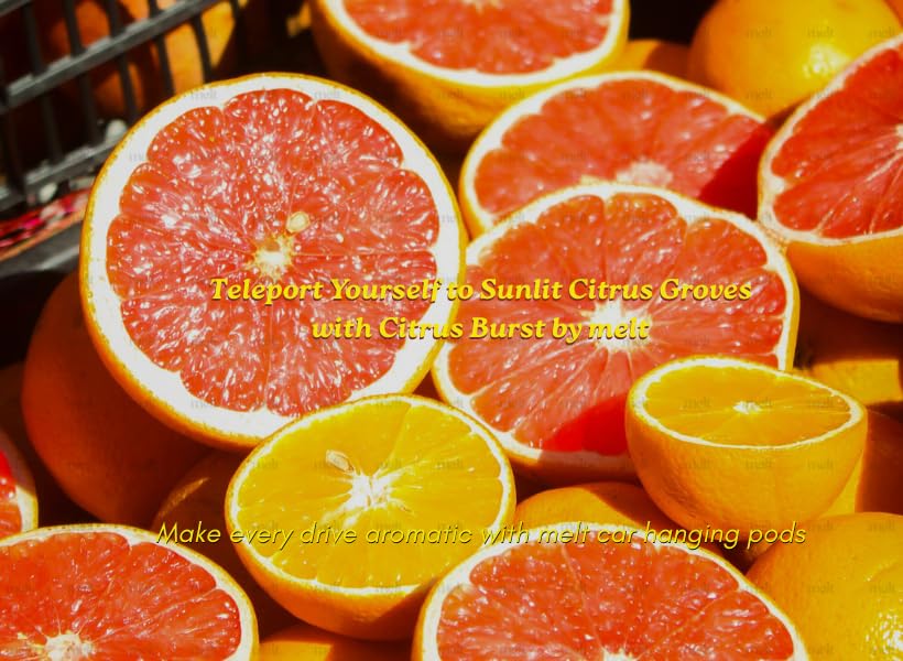 Image of Melt Citrus Burst Car Perfume, 12 ml