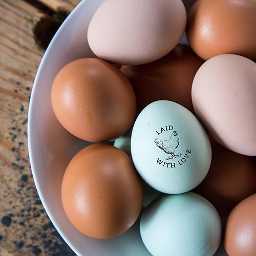 Miniatura 4 de Laid with Love - Sello de goma pequeño de 3/4 pulgadas de diámetro, estampado tradicional, sello de cartón de huevo de gallina, diseño moderno