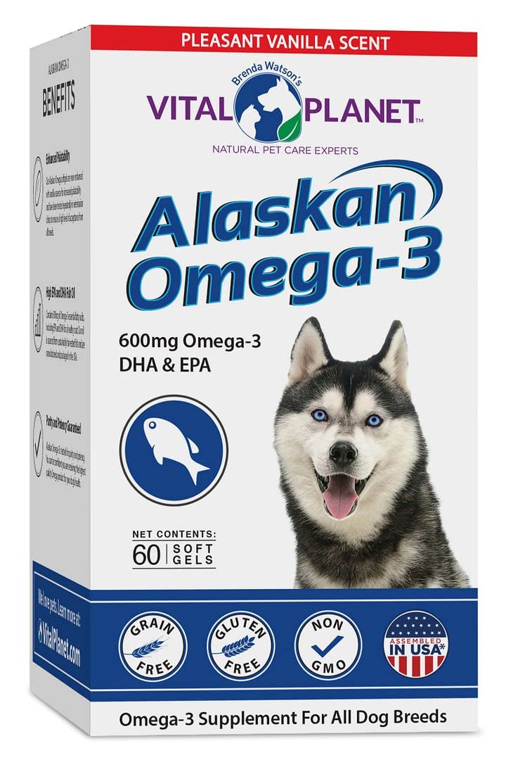 Is Cold Water Okay For Dogs