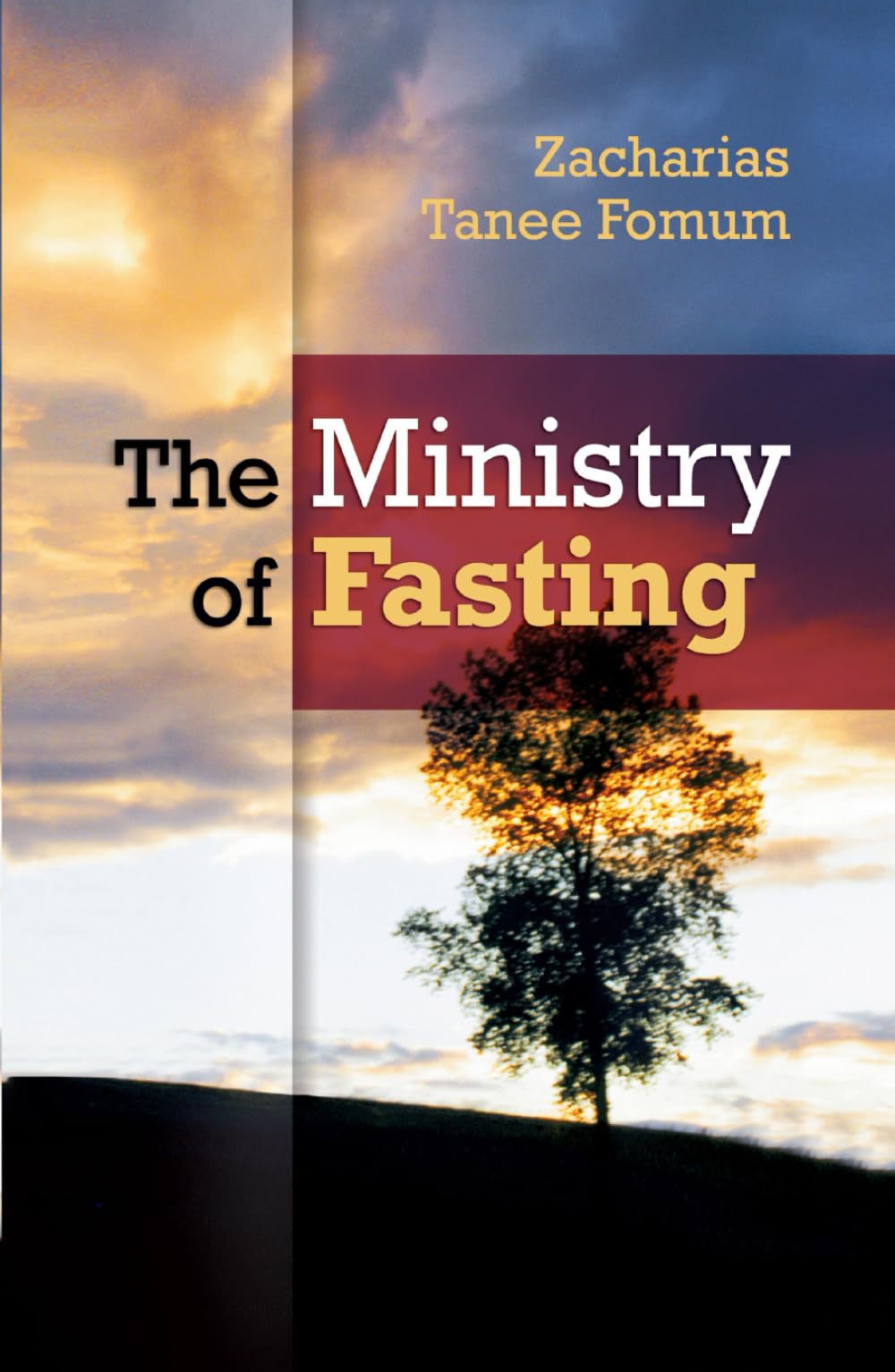 The Ministry of Fasting (Prayer Power Series)
