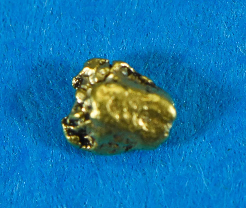 Alaskan-Yukon BC Gold Rush Natural Gold Nugget 0.18 Grams 10 Piece Lot Genuine