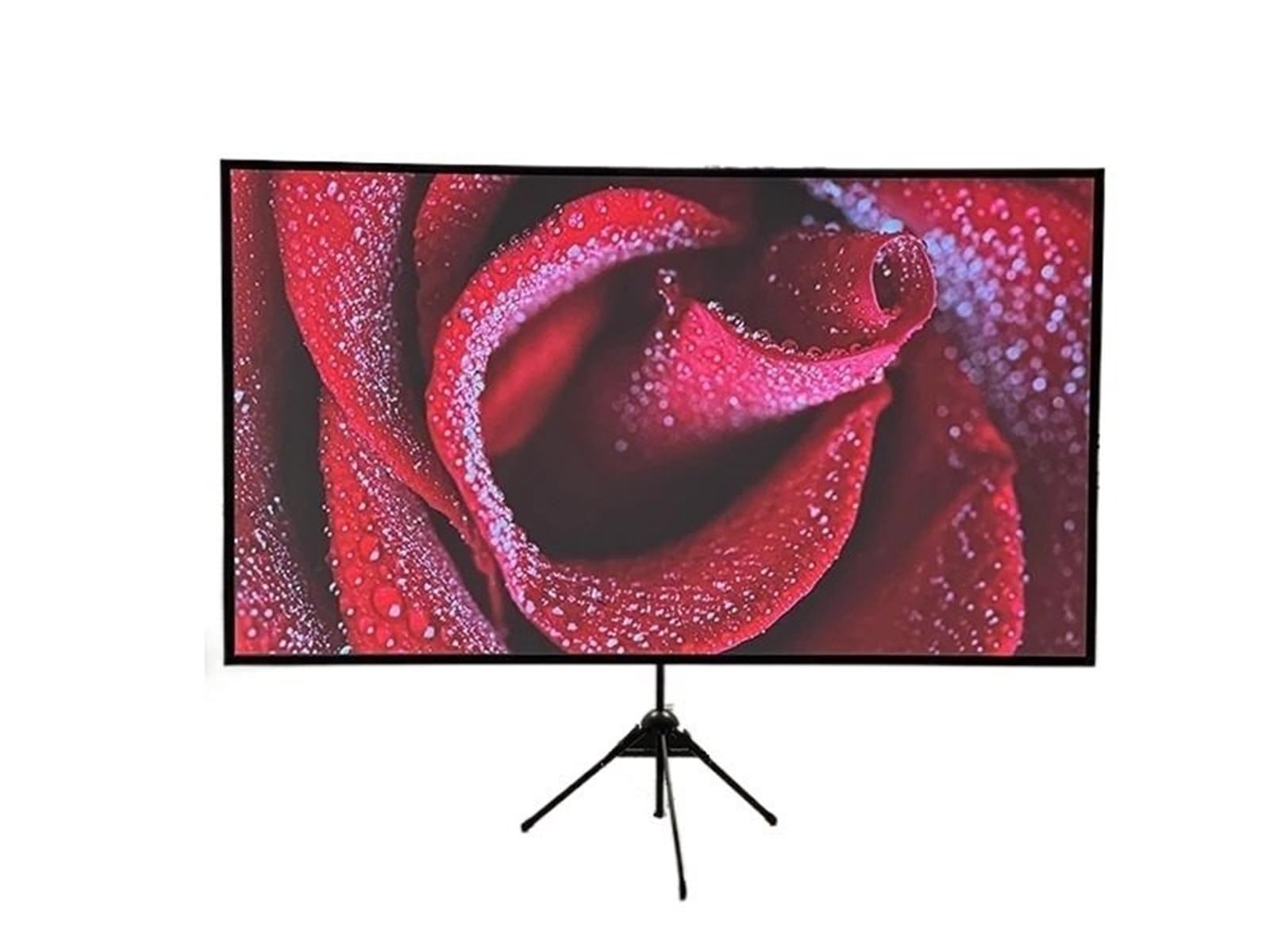 Pantallas de proyección videoproyector Pantalla de proyección portátil con Soporte Soporte Exterior 4K de Fibra de Vidrio Blanca de 100 Pulgadas para Cine en casa