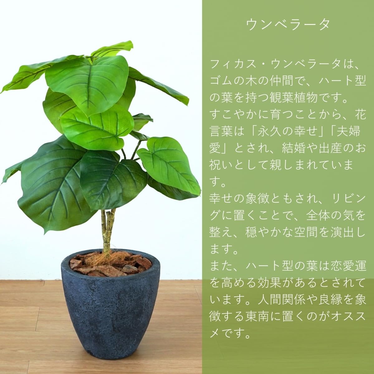 Amazon｜Botanical life+ フェイクグリーン 観葉植物 光触媒 日本製 消 