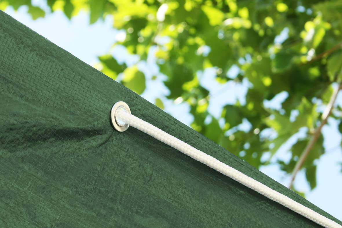 Labor 68291 Telone PVC Rinforzato con Occhielli, 4X6 M, Verde