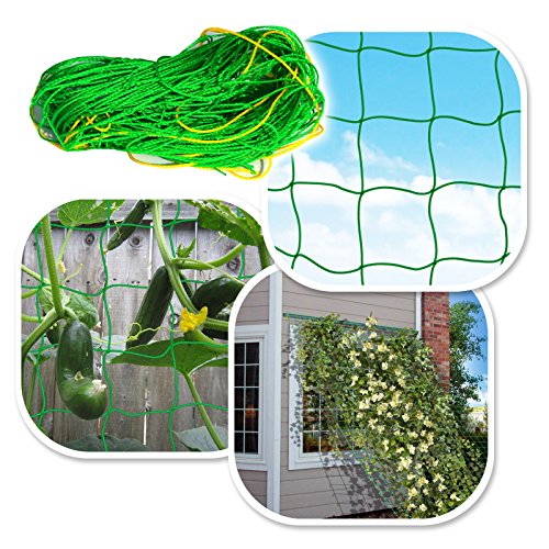 BenefitUSA Trellis Netting Plant Support for Climbing Plants Fruits Vine Vegetables Flowers and Veggie Garden Net (6.6' x 20')