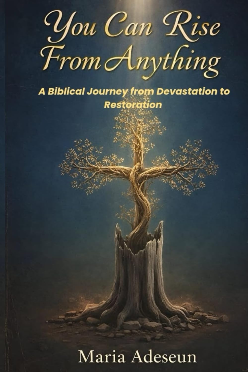 You Can Rise From Anything: A Biblical Journey from Devastation to Restoration