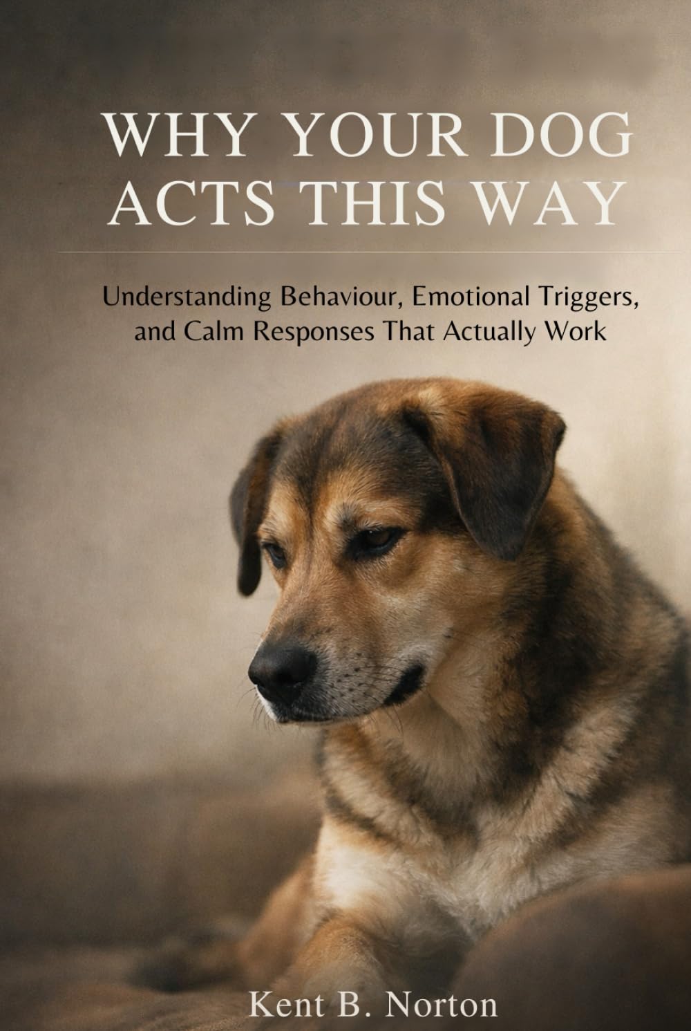 WHEN GOOD DOGS STRUGGLE: Understanding Anxiety, Reactivity, and Stress Without Force or Frustration