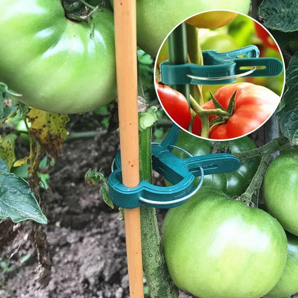 Piccole clip di supporto per piante in plastica sicure per piante rampicanti Clip di fissaggio per pomodori Clip per vite da giardino per traliccio a corda - Clip per piante durevoli e affidabili