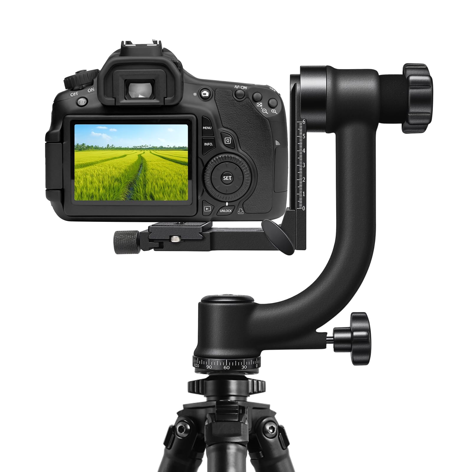 Testa per treppiede Gimbal, testa panoramica a 360°, portata 20 kg