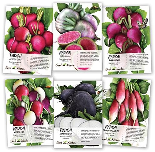 Seed Needs, Multicolor Radish Seed Packet Collection (6 Individual Varieties of Radish Seeds for Planting) Non-GMO & Untreated