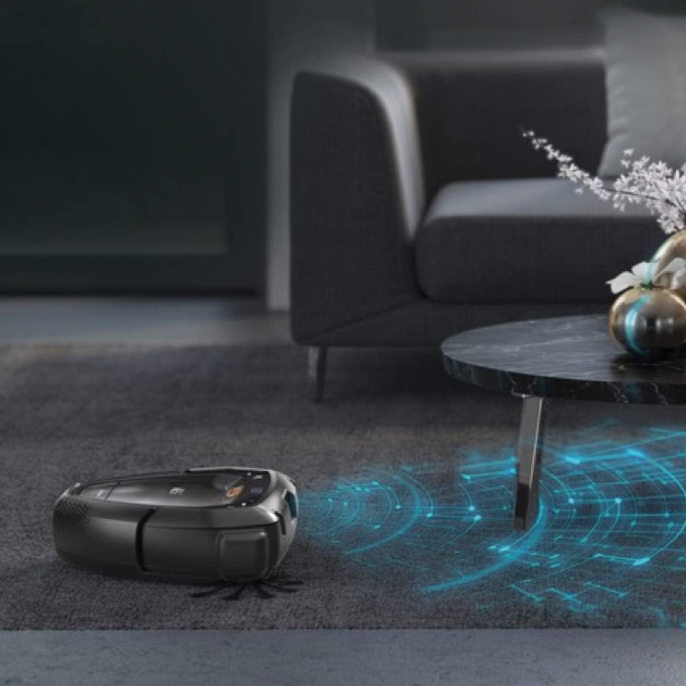 AFR1 Filter Set for RX9 (Twin Pack, 2 Washable XXL Filters, Optimal Filtration, Easy Cleaning, Regular Filter Replacement, Catches Pollen and Allergens, Black/White)