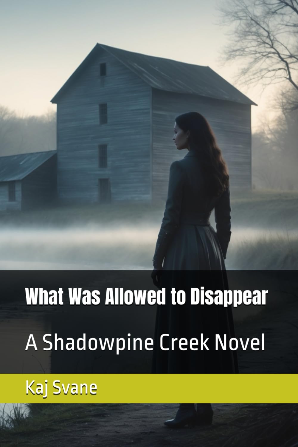 What Was Allowed to Disappear: A Shadowpine Creek Novel