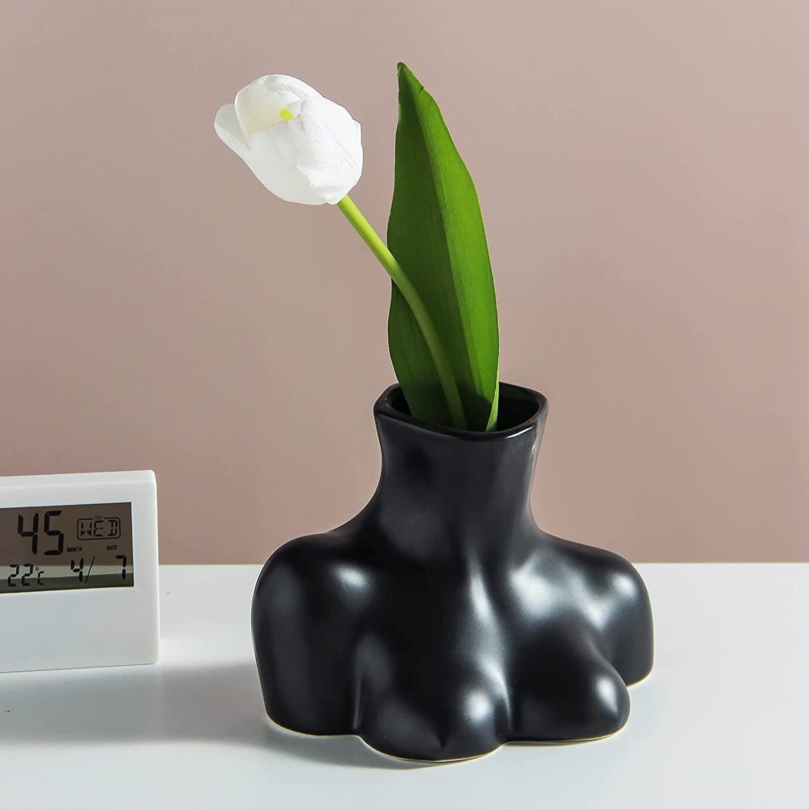 kaktus poster Flower Cactus
