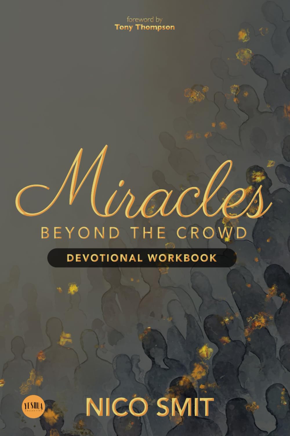 Miracles Beyond The Crowd - Devotional WORKBOOK: : Based on the original book by Nico Smit