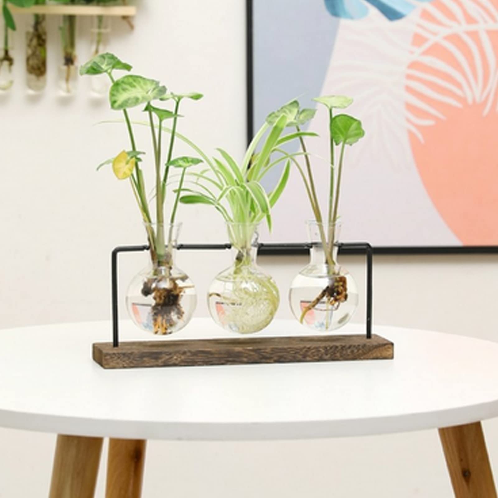 Drewniany stojak, terrarium, zestaw 4 szt., stacja do rozmnażania z 3 wazonami hiacyntowymi, wisząca szklana doniczka do roślin domowych, dla miłośników roślin, kobiet, ogrodu domowego