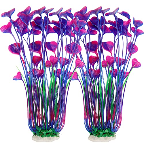 aquarium plants