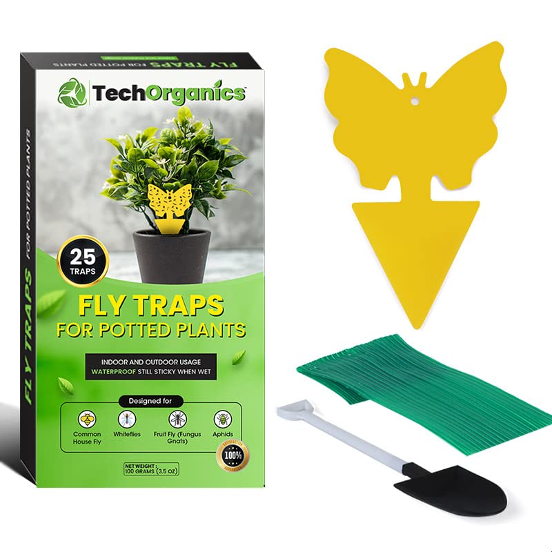 Fruit Fly Traps for Indoors | Gnat Traps for House Indoor | Super Effective Yellow Sticky Traps can Also be Used Outdoors | Also for Fungus Gnats, Aphids, Flies, Moths and Spiders | Pack of 25