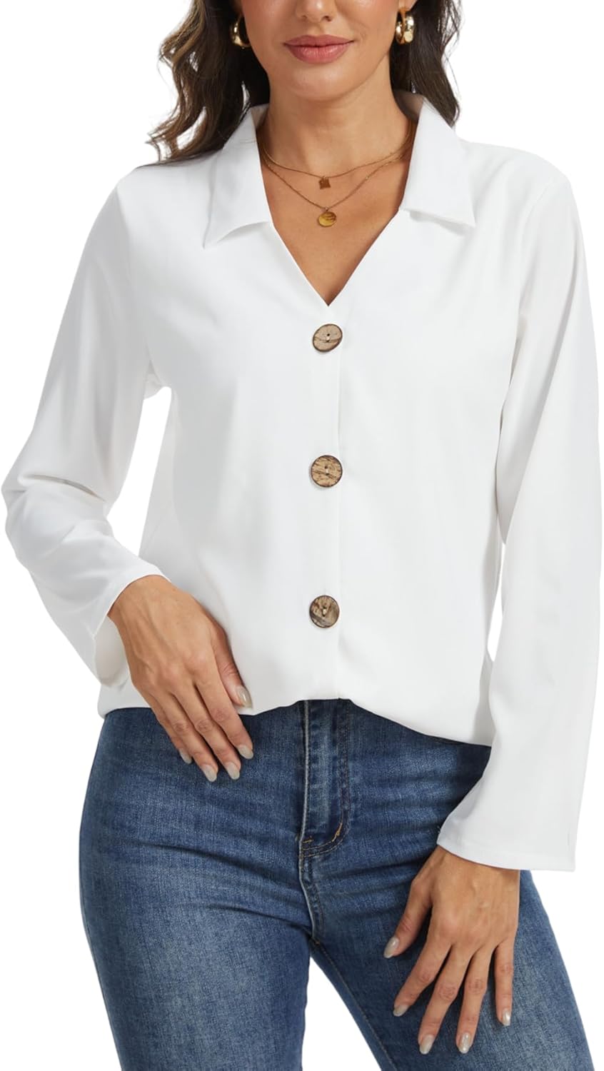 Women's Collared Button Down Shirts, Long Sleeve Wrinkle Free Dress Blouses, V Neck Corset Tops, Business Casual Outfits