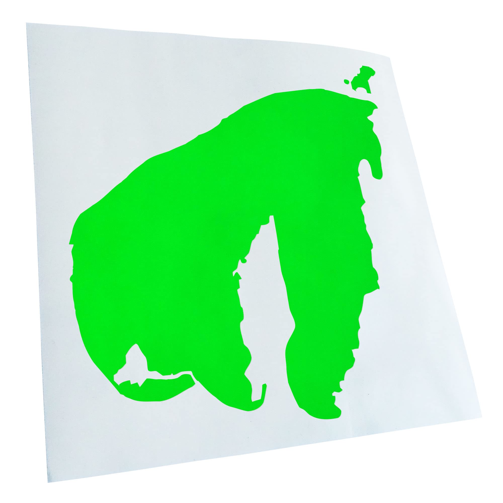 Kiwistar - Car Sticker - Neon Green - 50 x 50 cm Poel - Germany - Island - Rear Window Car Sticker Weatherproof for Car Truck Moped Truck - Sticker Exterior Self-Adhesive Tuning Accessories for