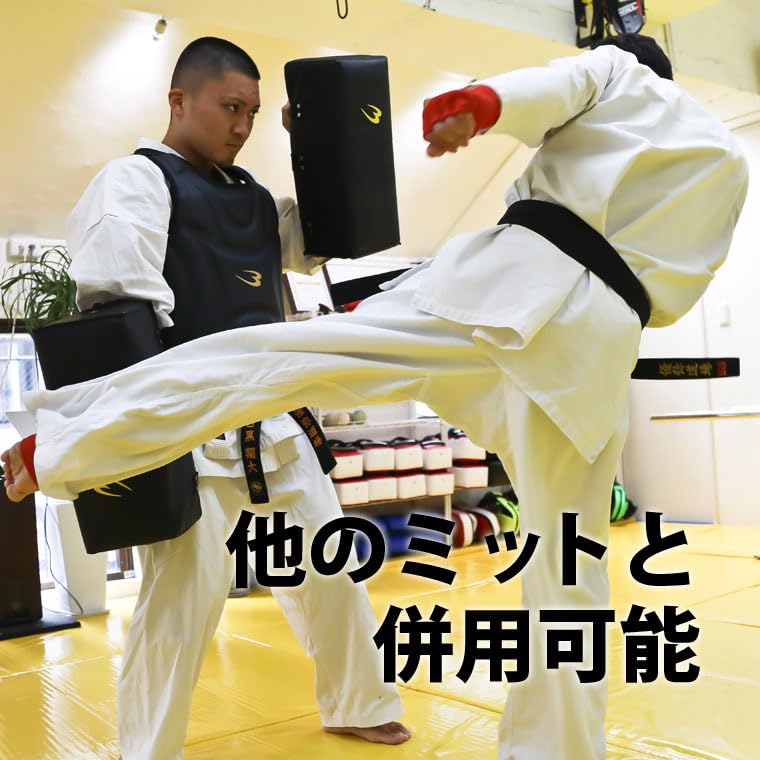 Amazon | BODYMAKER(ボディメーカー) ボディプロテクター F