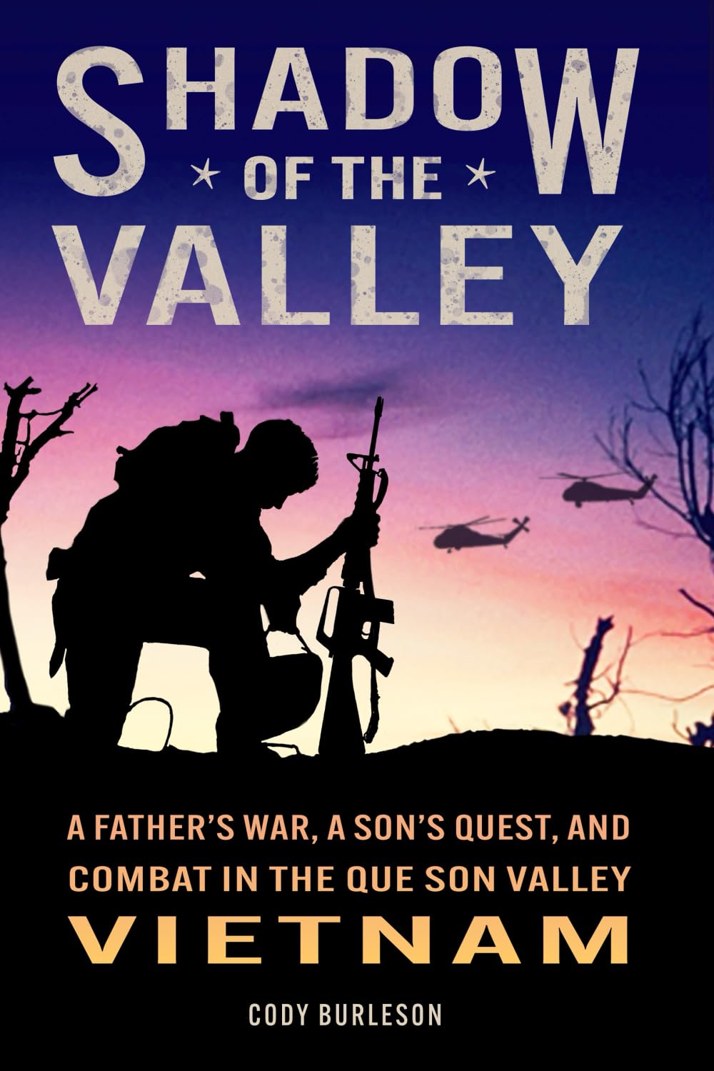Shadow of the Valley: A Father's War, a Son's Quest, and Combat in the Que Son Valley, Vietnam