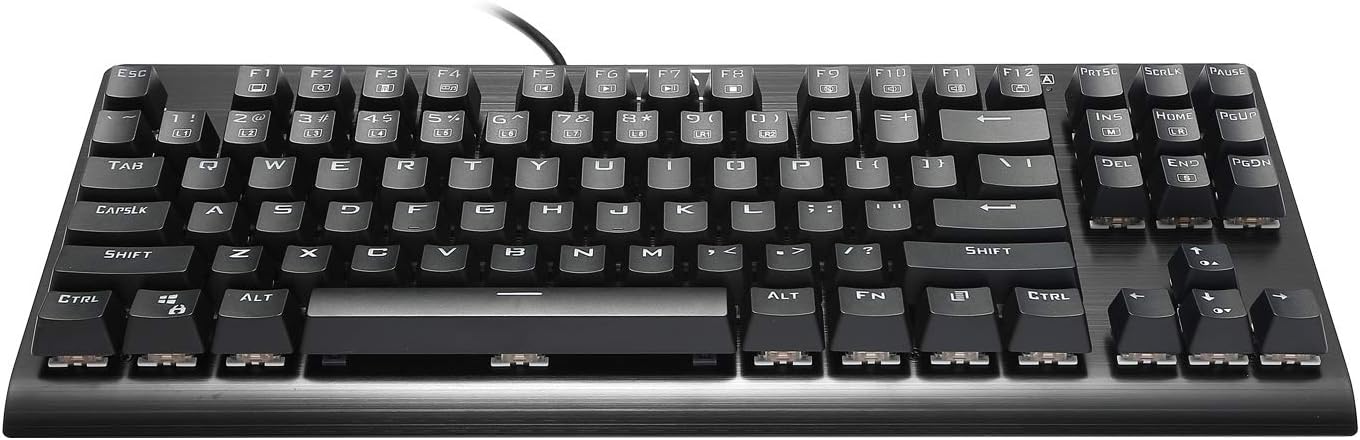HUO JI E-Yooso Z-77 Mechanical Gaming Keyboard with Rainbow LED Backlit, Brown Switches, Tenkeyless 87 Keys Anti-Ghosting for Mac, PC, Black