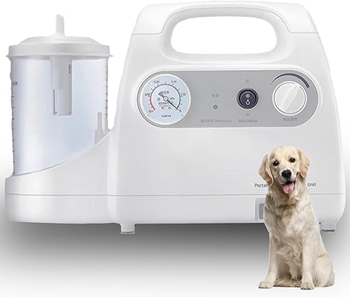 Extractor de vacío doméstico portátil de 1000 cc - Unidad de bomba de vacío silenciosa para el cuidado del hogar, bajo ruido, 110 V