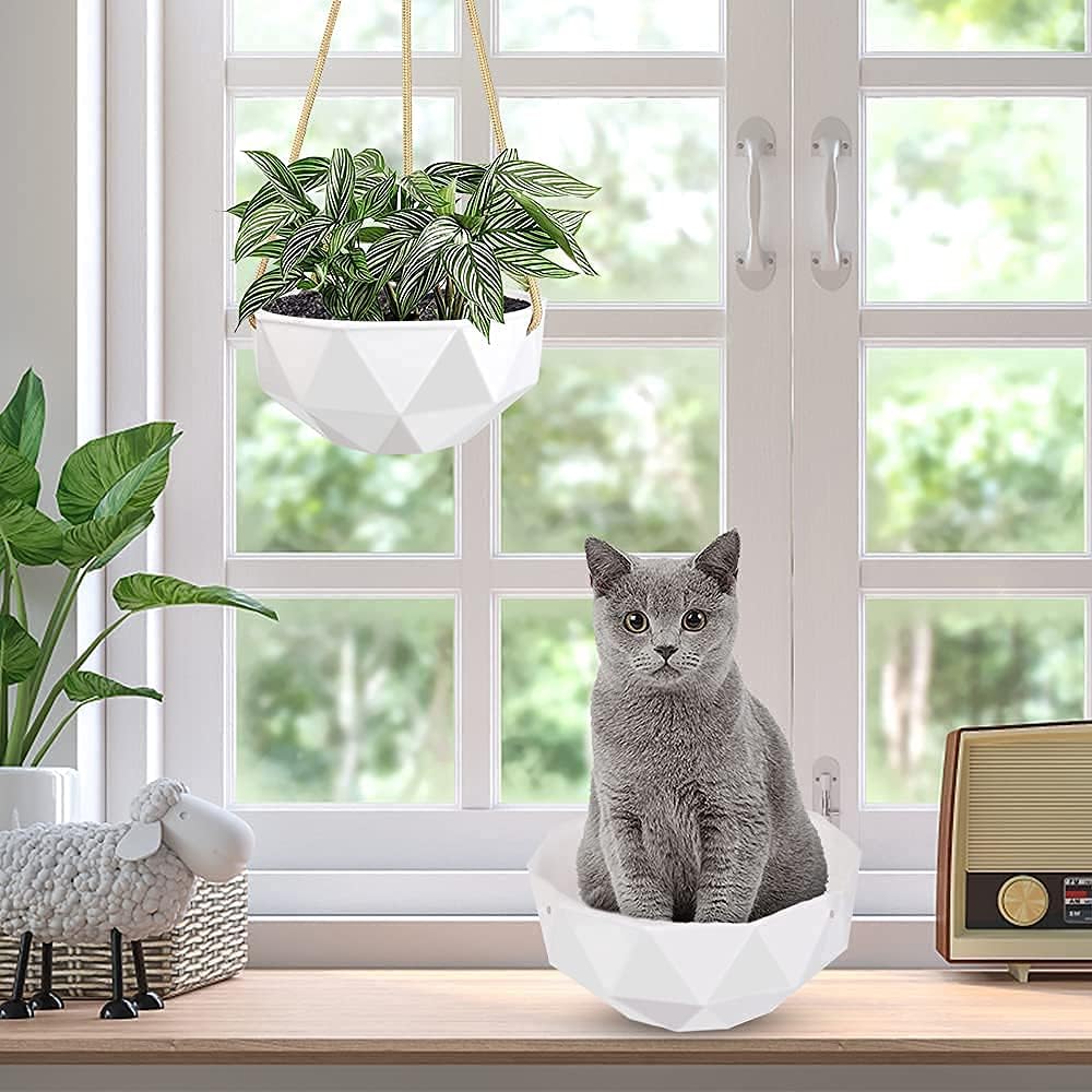 AmyHomie Hanging Planters for Indoor Outdoor Plants,2 Packs 8.5 Inches Ceramic Hanging Flower Pots with 4 Hooks and Drainage Hole for Home Decoration, Gift, Garden : Patio, Lawn & Garden