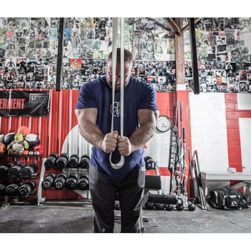 Elitefts Pro Resistance Band (Average - Are Silver) #TOP3