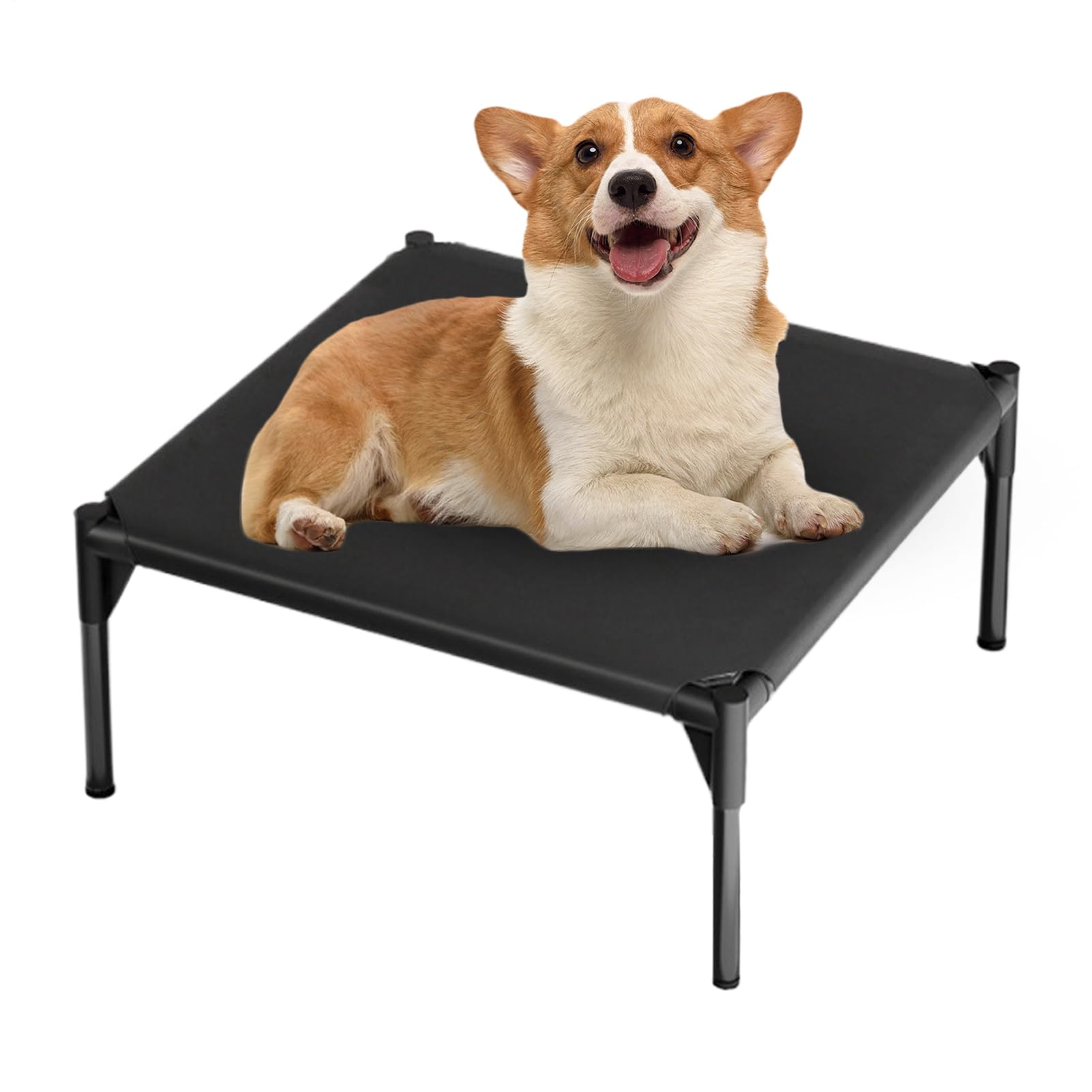 Lit surélevé pour chien imperméable pour résoudre les problèmes d'odeurs et de paniers humides