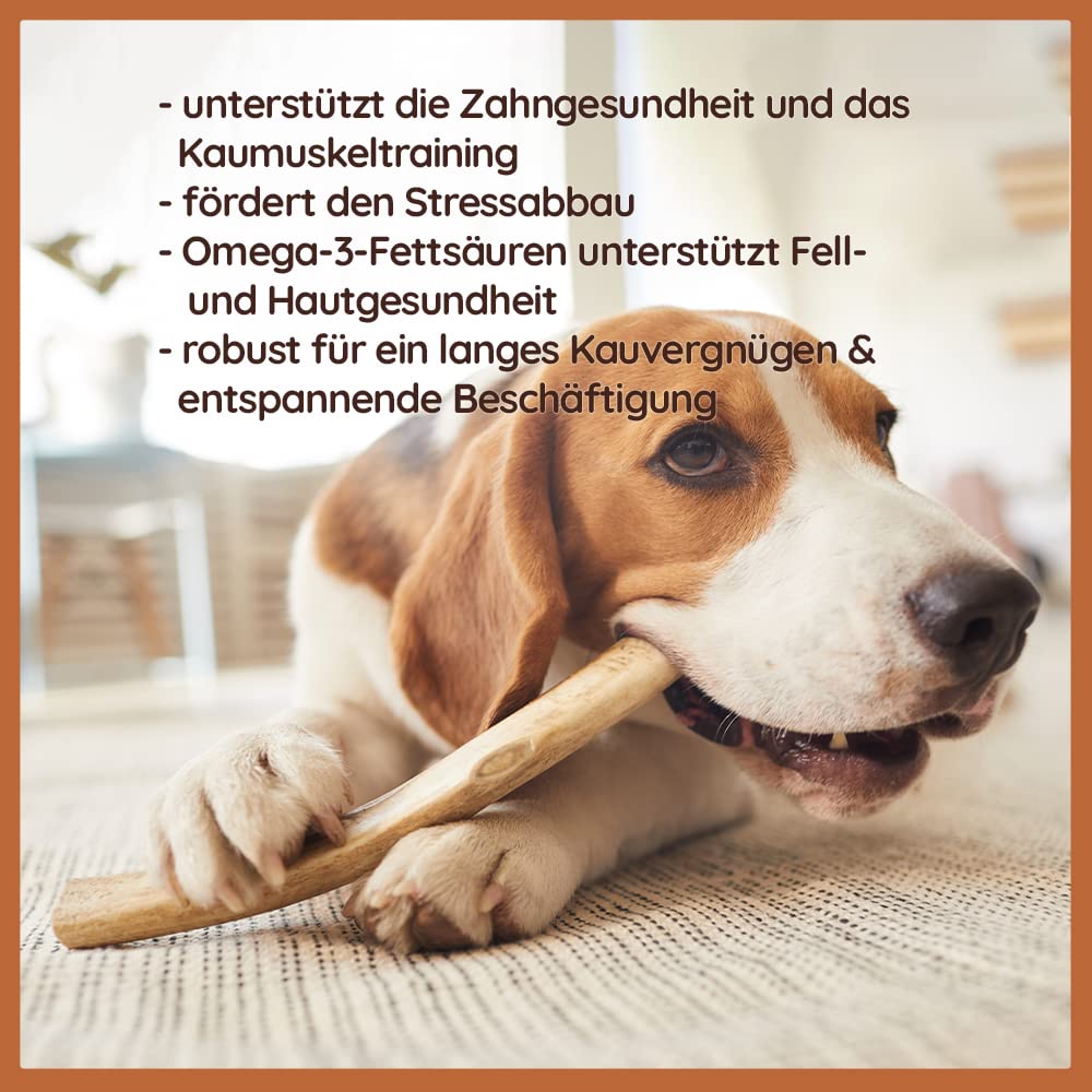 Wildfang® Rothirsch-Geweih Kauspielzeug – Hundespielzeug mit Lachs-Hirschgeweih, Zahnpflege für Hunde ohne Zusätze, natürliche Hirschgeweih Geweihe, ideal als Kauknochen Hund über 25 kg – 3er Pack
