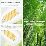 DiCUNO Żarówka LED Edison E27 6W, światło ciepłe białe 2700K, odpowiednik 80W, 1120 lm, nieściemnialna szklana żarówka filamentowa ST58, 230V AC, lampa vintage, zestaw 2 szt.