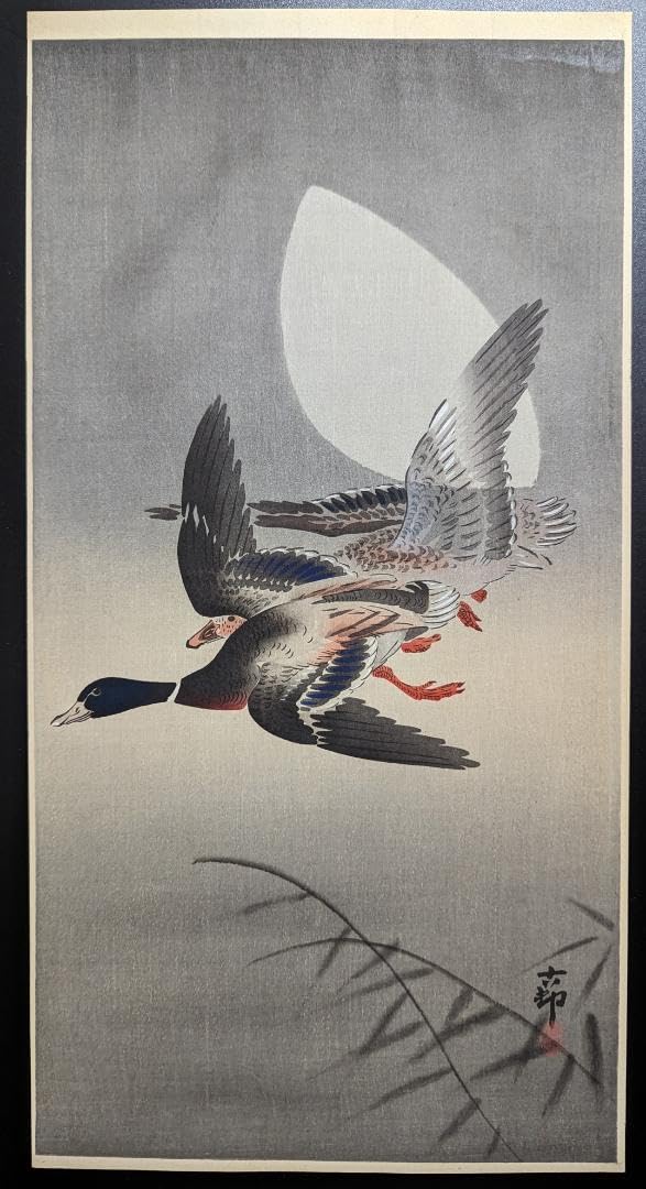 真作、小原古邨「雨中の田鷸」本物木版画