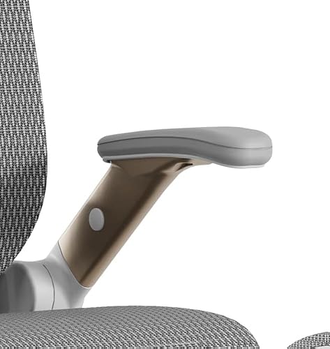 Amazon.com: GABRYLLY Ergonomic Office Chair, High Back Home Desk