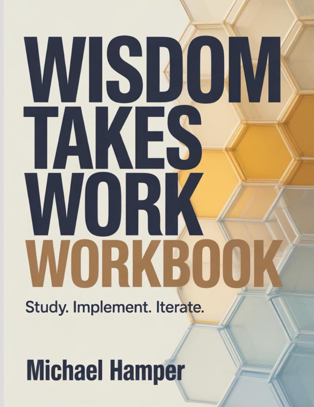 Wisdom Takes Work Workbook: Study. Implement. Iterate