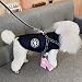Hundejacke Mit Geschirr für Kleine Hunde - Outdoor-Sportweste, Warme Winterjacke für Katzen, Welpen und Kleine Hunde