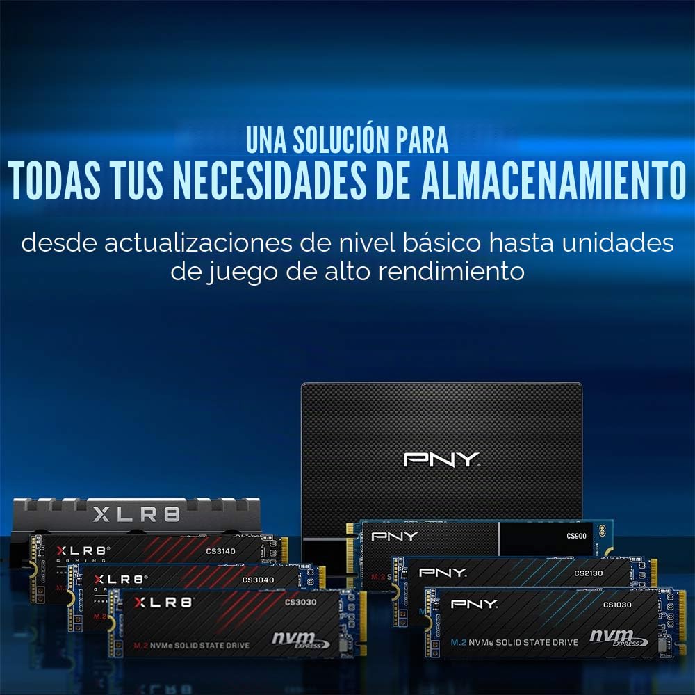 PNY CS900 SSD Interno 1TB Serie 2.5 SATA III