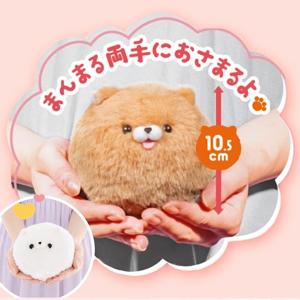 Amazon.co.jp: ぬいぐるみ 動物 犬 いぬ イヌ ポメラニアン ちゃちゃ