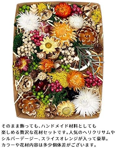 Amazon ハーバリウム花材 ラグジュアリーなブーケと花材のセット 材料 プリザーブドフラワー ドライフラワー ヘリクリサム シルバーデージー ペッパーベリー スライスオレンジなど 詰め合わせセット プリザーブドフラワー オンライン通販