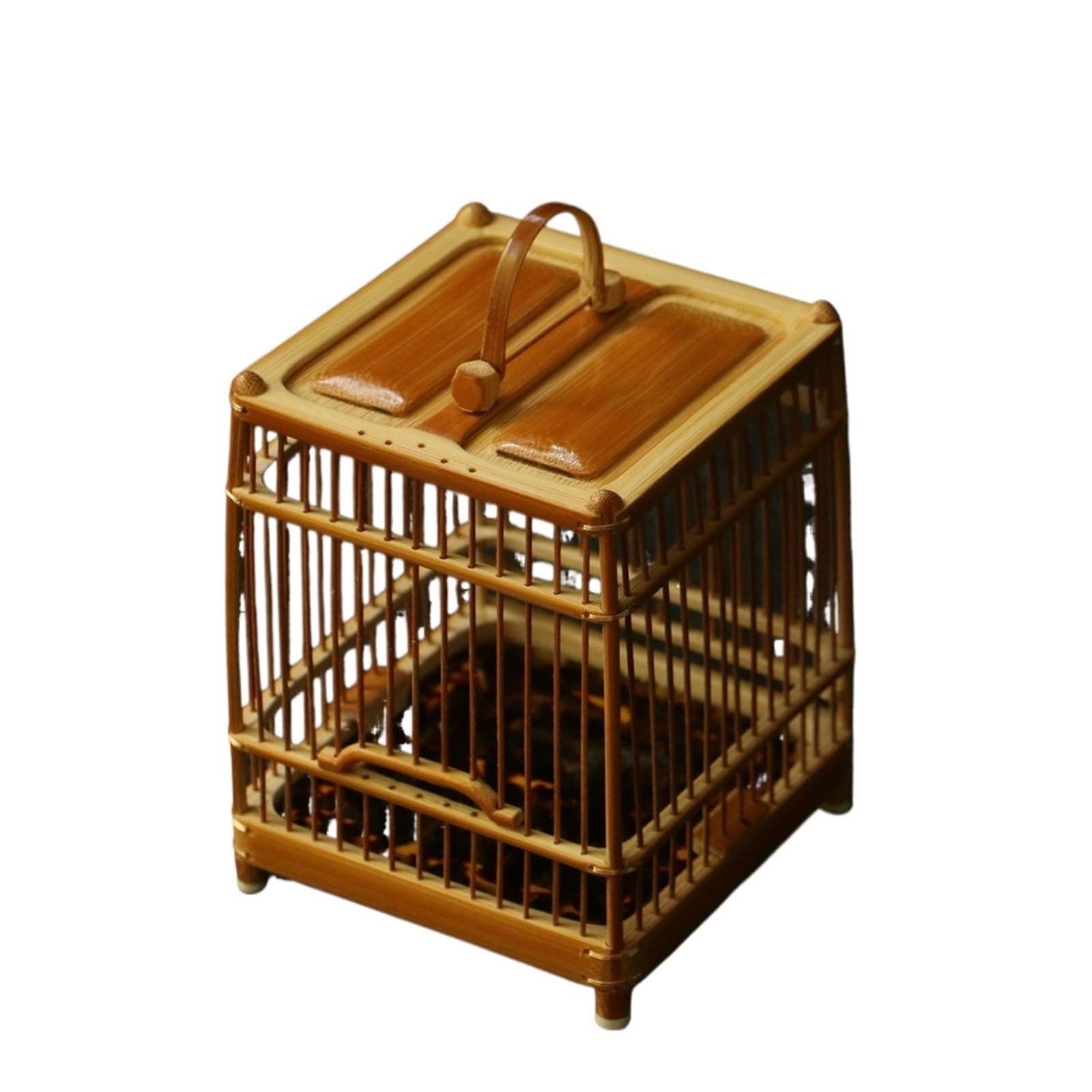 Cage à grillons carrée suspendue et transportable pour reptiles