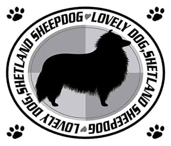 表札☆シェットランドシープドッグ200☆ 表札☆シェットランドシープドッグ200☆ 表札☆シェットランド